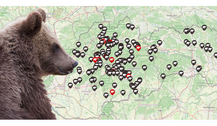 Vyhlásenie MIMORIADNEJ SITUÁCIE na území Prešovského kraja - výskyt medveďa hnedého